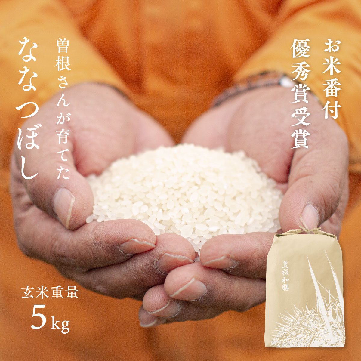 【断捨離】お宅の米びつは大丈夫？米びつやめました。